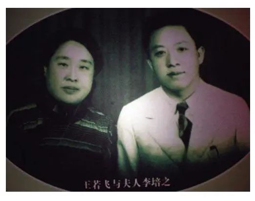 1619575380425364.jpg 1619575380425364.jpg