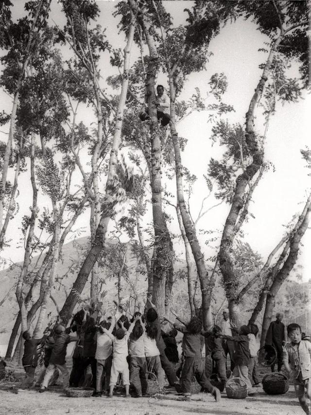 1629422643762921.jpeg 1629422643762921.jpeg