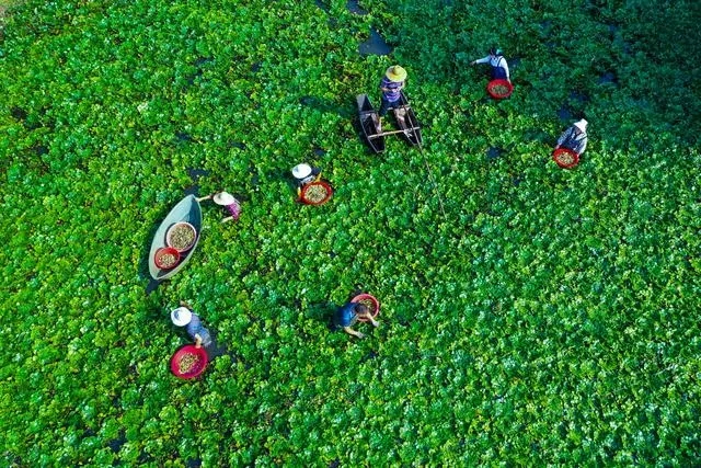 1695866993504228.jpg 1695866993504228.jpg