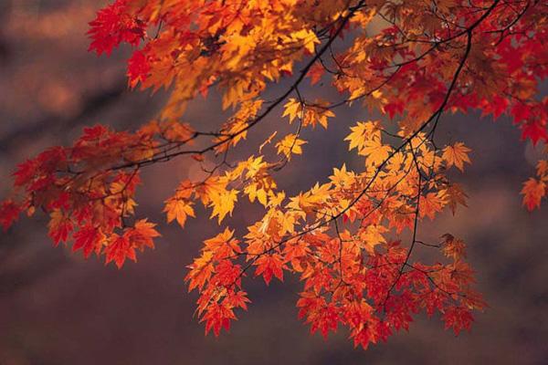 1698647614162222.jpg 1698647614162222.jpg