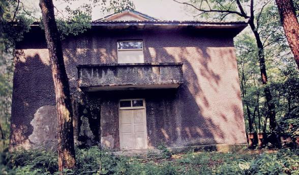 1699239985537661.jpg 1699239985537661.jpg