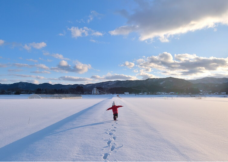 1702863287878646.png 1702863287878646.png