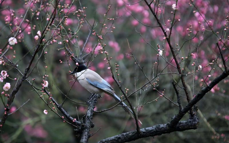 1707010001765665.png 1707010001765665.png