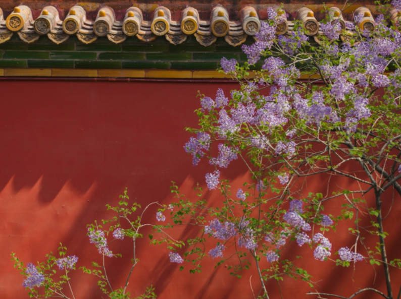 1712815924384755.png 1712815924384755.png