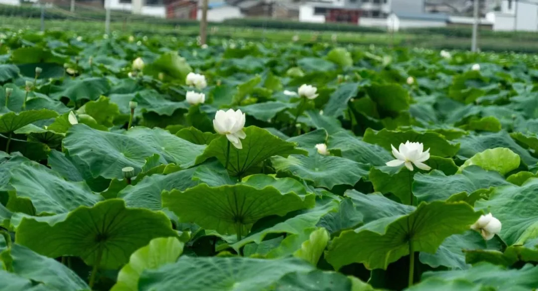 1720142924827161.png 1720142924827161.png