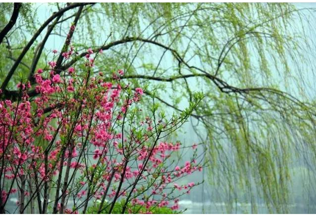 新城道中 七一.png