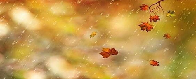 图片1.png秋雨夜眠.png