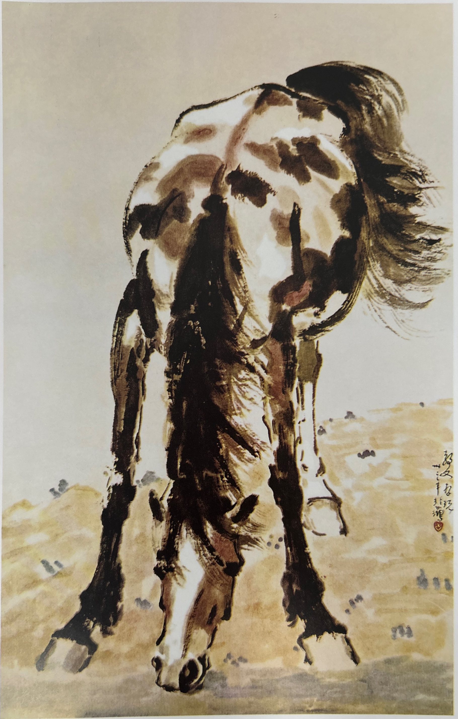 1770623985283852.jpg