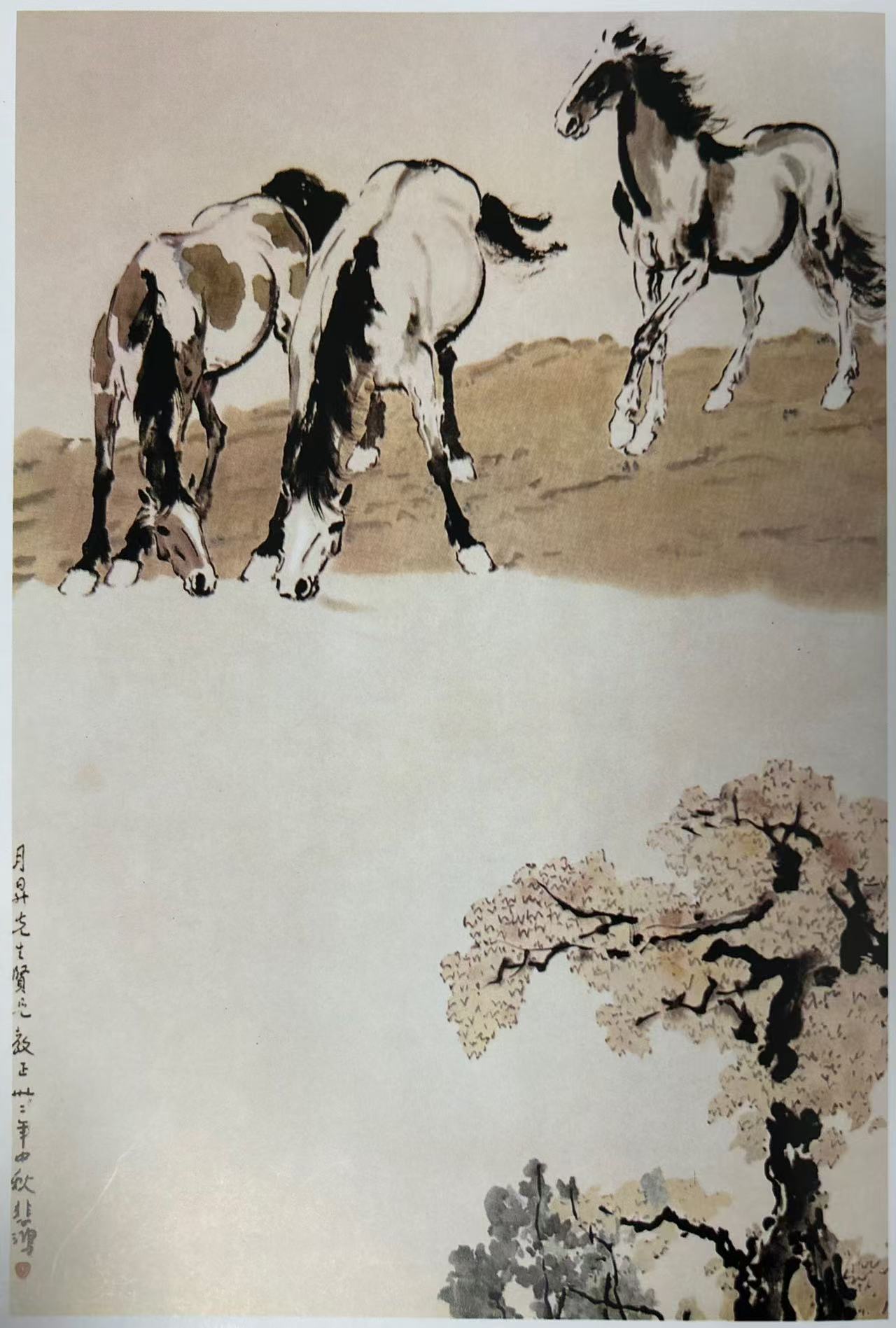 1770624028946251.jpg